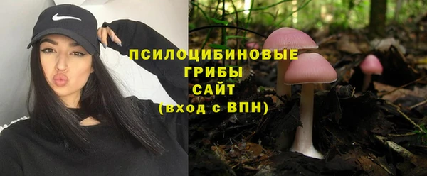 шишки Абаза