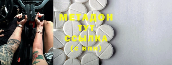 шишки Абаза