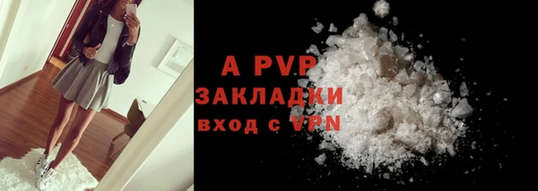 ECSTASY Михайлов