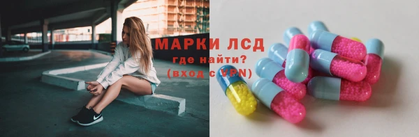 шишки Абаза