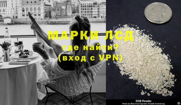 шишки Абаза