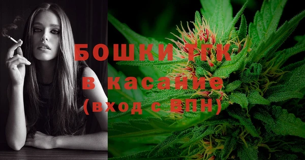 сатива Абдулино