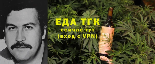 шишки Абаза