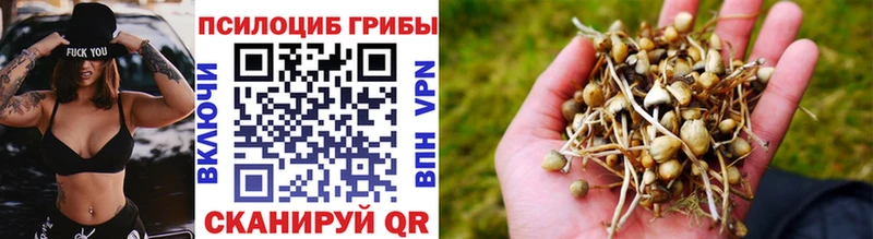 Галлюциногенные грибы мицелий Хадыженск